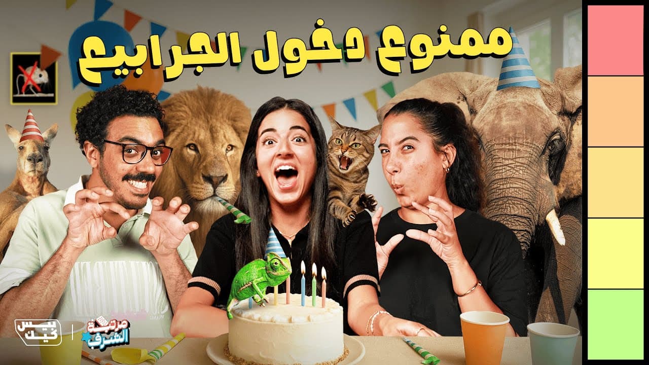 لو الحيوانات بتتكلم هتحتفل ازاي؟